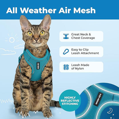Voyager Escape-Proof Step-in Lock Cat Harness & 5ft Neoprene-Handle Leash Set All-Weather Mesh with Reflective Stitching for Small to Large Cats by Best Pet Supplies, Turquoise (327), M