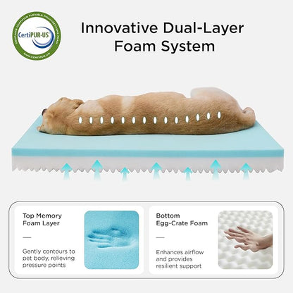Bedsure Memory Foam Dog Bed Medium Size Dogs- Orthopedic Pet Beds for Crate with Removable Washable Cover and Nonskid Bottom - Plush Flannel Fleece Top Pet Mat, Brown