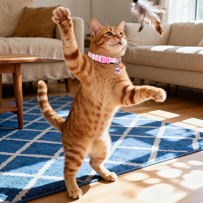 Pink Puppy Collar with Bell -Nylon Collar for Chihuahua Pomeranian Yorkie, Adjustable XXS/XS for Walks & Daily Play (Daisy XS)