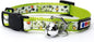 Pawtitas Glow in The Dark Cat Collar with Breakaway Safety Buckle & Bell Adjustable Kitten Collar, Green