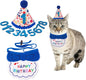 ADOGGYGO Cat Birthday Party Supplies, Blue Boy Cat Kitten Birthday Bandana Hat Numbers Pet Birthday Decorations Outfits