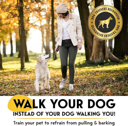 PetJett Prong Collar for Dogs - Choke Collar for Dogs, Pinch Collar for Dog Adjustable Dog Training Collar for Small Medium Large Breed - No Pull Safety Stainless Steel Metal Choker Chain Walking Tool