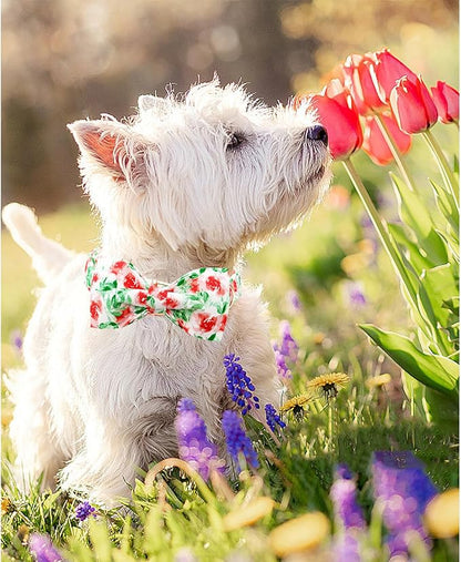 Lionheart glory Dog Collar Bow Collar Floral Dog Collar with Bow Tie Spring Summer Cute Collar Dog Boy or Girl Dog Collars Soft Durable Adjustable Dog Collars for Large Dogs