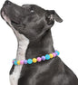 Beaded Dog Necklace Collar, Adjustable Jewelry-Inspired Design with Sparkle Beads (Iridescent Pastels, Large)