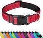 Reflective Dog Collar, Adjustable Soft Neoprene Padded Nylon Pet Collars with Buckle for Small Dogs, Red,S