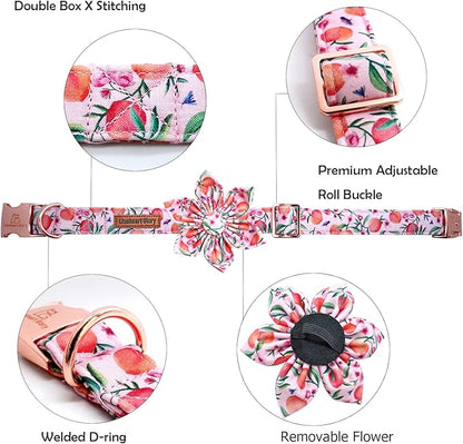 Lionheart Glory Pink Peach Flower Dog Collar - Soft, Durable, Adjustable for Medium Dogs