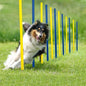 Pet Prime Dog Agility Training Equipment for Dog Obstacle Course Backyard 12pcs Weave Poles Slalom Set Portable Dogs Park Exercise Tool