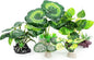 5Pack Tall Aquarium Plants - Reptile Habitat Plants Realistic Silk Fake Betta Fish Tank Decor for Terrarium Aquascaping