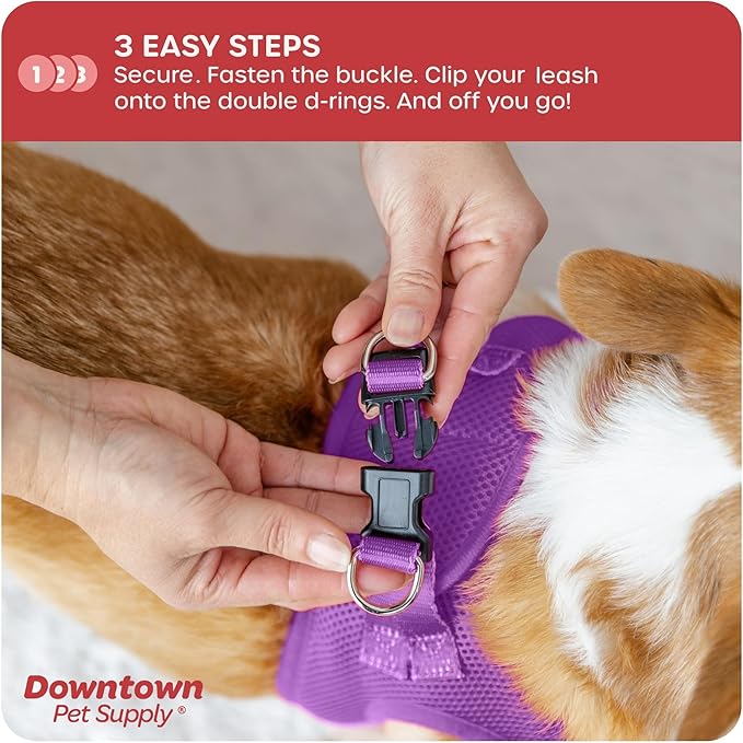 Downtown Pet Supply Step-in Dog Harness – No Pull, Adjustable Padded Mesh with Reflective Trim, Secure Buckle Strap – Comfortable & Breathable Small Dog Harness, Medium, Purple