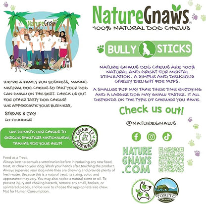 Nature Gnaws Bully Sticks for Dogs 11-12" (8oz) - Mixed Thickness - Long Lasting for Aggressive Chewers and Large Dogs - Natural Beef Dog Chew Bones