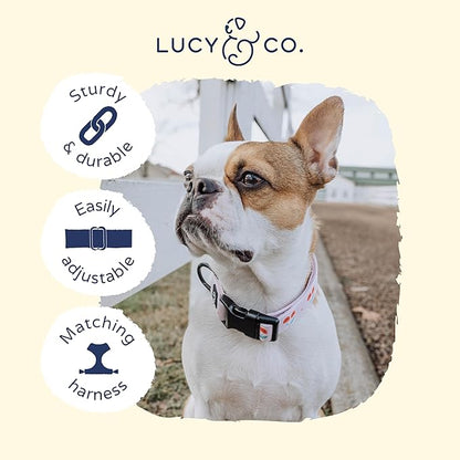 Lucy & Co. Cheery Cherries Dog Collar - Durable Lightweight Designer Collar for Pets - Adjustable Metal Safety Buckel - Red Gingham Cherries – Medium