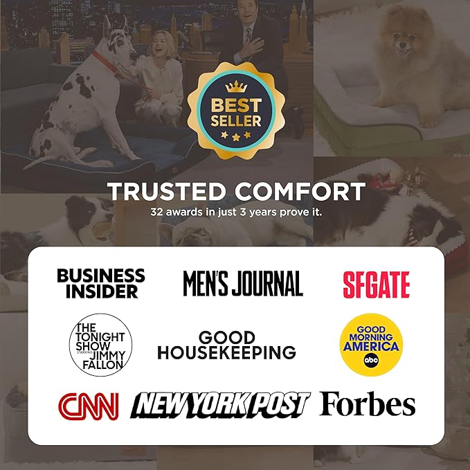 Bedsure Orthopedic Dog Beds for Extra Small Dogs- Washable Dog Cat Bed Waterproof, Comfort Pet Couch Sofa with Washable Removable Cover, Pets Bed with Nonskid Bottom, Grey, 20"
