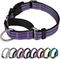 Martingale Dog Collar, Adjustable Nylon Reflective Collar with Buckle No Pull Dog Collar for Small Medium Large Dogs (Purple L)