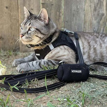 Best Pet Supplies Voyager Reflective Dog Leash or Collar with Neoprene Handle, for Small, Medium, and Large Breed Puppies, Cute and Heavy Duty for Walking, Running and Training - Black (Leash), M