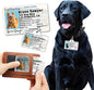 PawFurEver Personalized Dog Driver License ID Tag for Dogs & Cats - Custom Pet License Dog ID Tags Personalized Heavy Duty with Name, Photo & Phone Number, 50 States + DC (Iowa, Wallet Card)
