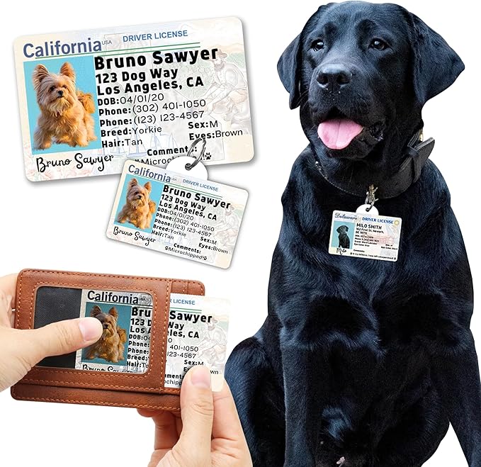 PawFurEver Personalized Dog Driver License ID Tag for Dogs & Cats - Custom Pet License Dog ID Tags Personalized Heavy Duty with Name, Photo & Phone Number, 50 States + DC (Missouri, Wallet Card)