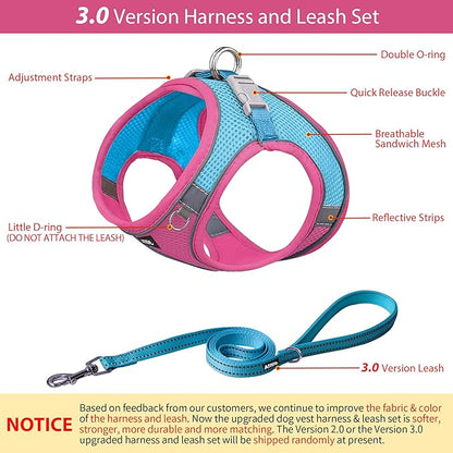 AIITLE Small Harness for Puppy with A Leash - Dog Vest Harness with Super Breathable Mesh, Reflective No-Pull Pet Harness for Outdoor Walking, Running for Small Dogs, Cats Hot Pink XXS