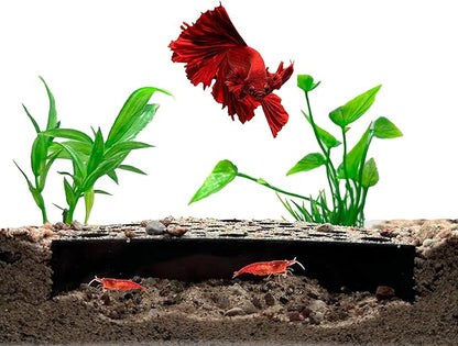 Shrimp Breeding Protector | Shrimp Breeding Cave Aquarium Tunnel | CTWPets (Black)