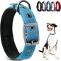 PetiFine Dog Collars for Medium Dogs, Neoprene Padded and Adjustable, Reflective Wide Heavy Duty Pet Collars with Durable Metal Belt Buckle for Walking, Blue, M