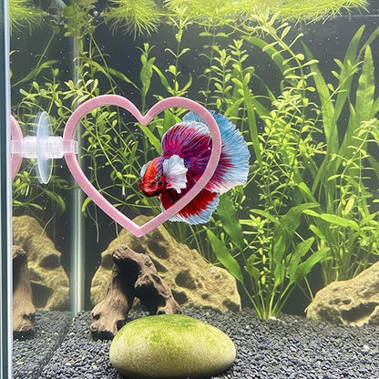 Heart Swim Ring Decor for Betta Fish, Interactive Exercise Toy for Aquariums Betta Ring, 2 Pack Pink