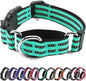 Hikiko Martingale Dog Collars Reflective Nylon Dog Collar with Quick Release Buckle Adjustable Training No Slip Dog Collar (Large, Turquoise)