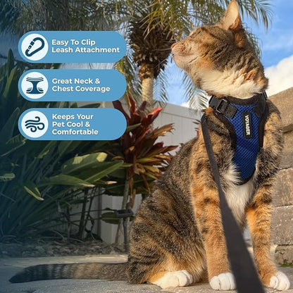 Voyager Escape-Proof Step-In Lock Cat Harness & 5ft Neoprene-Handle Leash Set All-Weather Mesh with Reflective Stitching For Small to Large Cats by Best Pet Supplies, Royal Blue/Black Trim, S