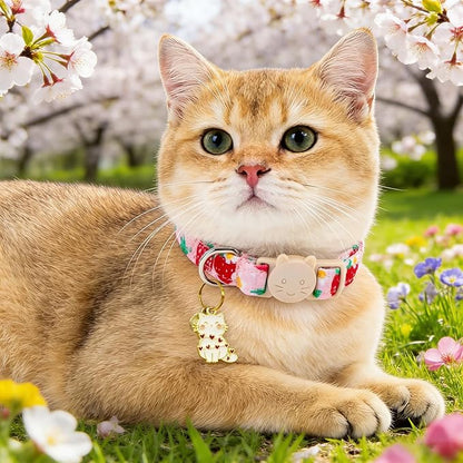 Spring Cat Collar-2 Pack Collars Strawberry and Flower Print Breakaway with Kitten and Bell Pendant Safety Buckle Adjustable Pet Collar Gift for Cats and Small Pets