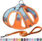 AIITLE No Pull Dog Harness and Leash Set, Step in Adjustable Dog Harness with Padded Vest for All Weather, Dog Leash with Soft Padded Handle, Easy to Put on Small and Medium Dogs Orange S
