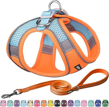 AIITLE Dog Harness, No-Pull Cat Harness with a Leash, Adjustable Reflective Dog Vest, Cat Harness Escape Proof, Outdoor Walking, Running,Training for Extra Small Dogs and House Cats Orange XXXS