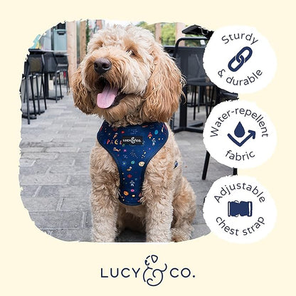 Lucy & Co. Space Doodle, Cute Reversible Dog Harness Walking Halter - Best Designer Pet Harnesses for Medium Dogs - Padded Adjustable Vest for Easy Walking (X-Large)