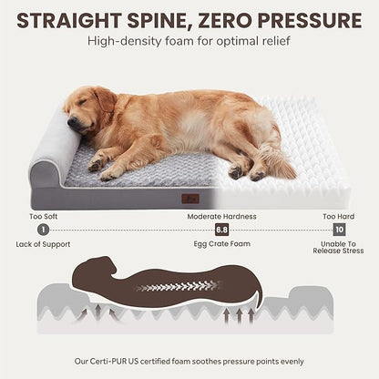 Large Dog Beds Large Sized Dogs 48x35x8 Inch, Orthopedic XXL XL Dog Bed for Medium Size Dogs, Big Waterproof Couch Sofa with Removable Washable Cover for Pet, Light Grey