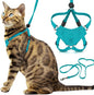 Houdini™ Escape Proof Cat Harness and Leash Set by OutdoorBengal – Turquoise, Medium Cat Harness for Walking
