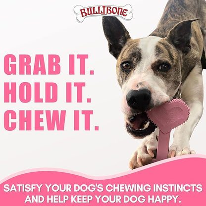 Bullibone Nylon Dog Chew Toy for Aggressive Chewers - Dental Hygiene Bone with Peppermint Flavor, Durable Tough Chew Toys for Small Dogs, Indestructible Dog Bone - 3 Pack