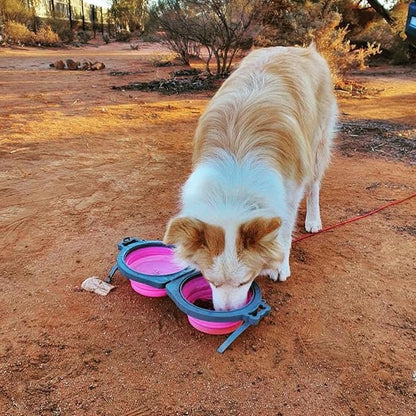 Loving Pets - Bella Roma Double Diner Portable Travel Dog Bowls Collapsible Combined Dog Food & Water Bowls (Pink, Medium)