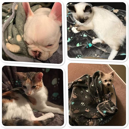 Allisandro 350 GSM-Super Soft and Premium Flannel Fleece Pet Dog Blanket, The Cute Print Design Washable Fluffy Blanket for Extra Large Puppy Cat Kitten Indoor or Outdoor, Grey, 80 x 64 Inches