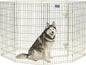 MidWest Homes for Pets Folding Metal Dog Exercise Pen, Indoor/Outdoor Playpen with Door, 16 Sq Feet of Play Space, 48-Inches Tall, Gold Zinc