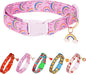 Cute Dog Collar Rainbow Pattern for Boys and Girls Holiday Dog Collars Summer Fall Gift Adjustable for Small to Medium Breed Dogs (Rainbow, S)