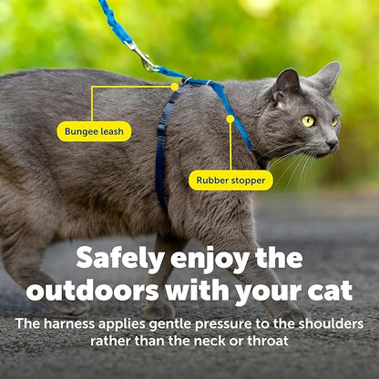 PetSafe Come with Me Kitty Cat Harness & Bungee Leash - Comfortable Cat Harness with Lightweight Bungee Leash for Outdoor Fun - More Secure Walks - Large - Royal Blue
