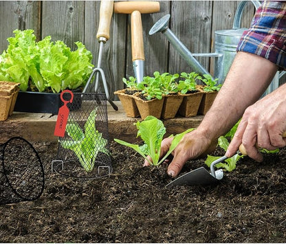20 Pcs 6.8"×7.4" (Multiple Sizes/Quantities Available) Seedling Plant Protectors from Animals, Chicken Wire Plant Cage Garden Cloche to Protect Plants Vegetables from Rabbits Squirrels Chicken ﻿