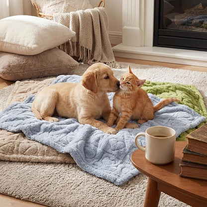 Tegeme 3 Pcs Small Dog Blanket 280 GSM Washable Pet Bed Cover Soft Fluffy Puppy Blanket 3D Textured Heart Checkered Pattern Fleece Soft Cat Plush Pet Throws for Kitten Doggy(Vibrant Colors,20"×30")