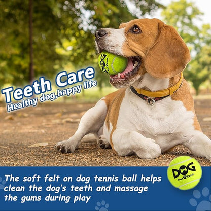 Tennis Balls for Dogs - 12 Pack 2.5'' Durable Non-Toxic Outdoor Dog Toys Balls with Mesh Bag, SGS Certified, Colorful Fetch Toys, Medium Large Breeds (Non Squeaky)