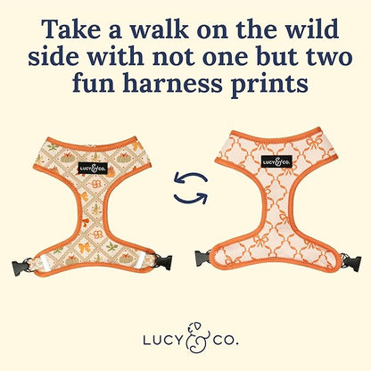 Lucy & Co. Cute Reversible Dog Harness Walking Halter - Best Designer Pet Harnesses for XS - XL Dogs - Padded Adjustable Vest for Easy Walking-X-Small-Orange Cream Pumpkin