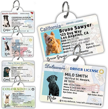PawFurEver Personalized Dog Driver License ID Tag for Dogs & Cats - Custom Pet License Dog ID Tags Personalized Heavy Duty with Name, Photo & Phone Number, 50 States + DC (DC, Tag)