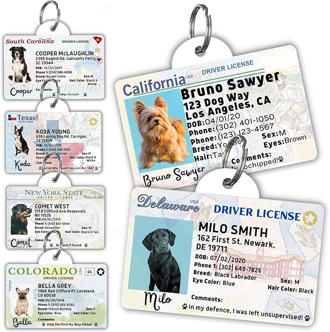 PawFurEver Personalized Dog Driver License ID Tag for Dogs & Cats - Custom Pet License Dog ID Tags Personalized Heavy Duty with Name, Photo & Phone Number, 50 States + DC (Utah, Tag)