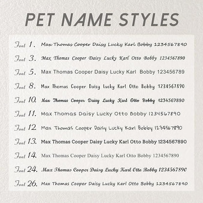 Anavia Small Size Dog Cat ID Tags, Small/XS Personalized Color Plated Stainless Steel Puppy Kitten Name Tags, Customized Engraved Nameplate Pet Collar Tag (Rainbow, Oval)