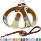 AIITLE Step in Dog Harness and Leash Set - No Pull Escape Proof Vest Harnesses with Soft Mesh and Reflective Bands, Adjustable Pet Outdoor Harnesses for Small and Medium Dogs Beige M