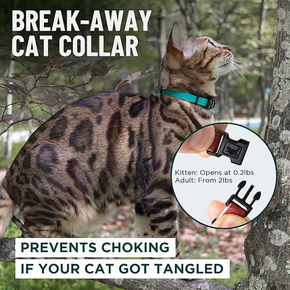 OutdoorBengal Durable Cat Collar Breakaway with Soft Padding Medium to Large Cats - Thin Heavy Duty Tactical Fabric, Comfortable, Quick Release Cat Collars, No Bell Collar (Black Reflective, Kitten)