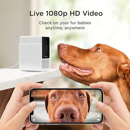 Petcube Cam | Indoor Wi-Fi Pet and Security Camera with Phone App, Pet Monitor with 2-Way Audio and Video, Night Vision, 1080p HD Video and Smart Alerts for Ultimate Home Security