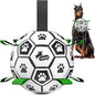 QDAN 10 Inch Gaint Dog Soccer Ball with Straps, Durable Big Dogs Balls, Outdoor Large Dog Toys, Herding Balls for Dogs, FloatingToy, Birthday Gifts (10 Inch)