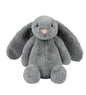 Best Pet Supplies Interactive Squeaky Dog Chew Toy, Ideal Dog Toys for Chewers, Small, Medium & Large Dogs, and Fetch Lovers - Bunny (Gray), Large